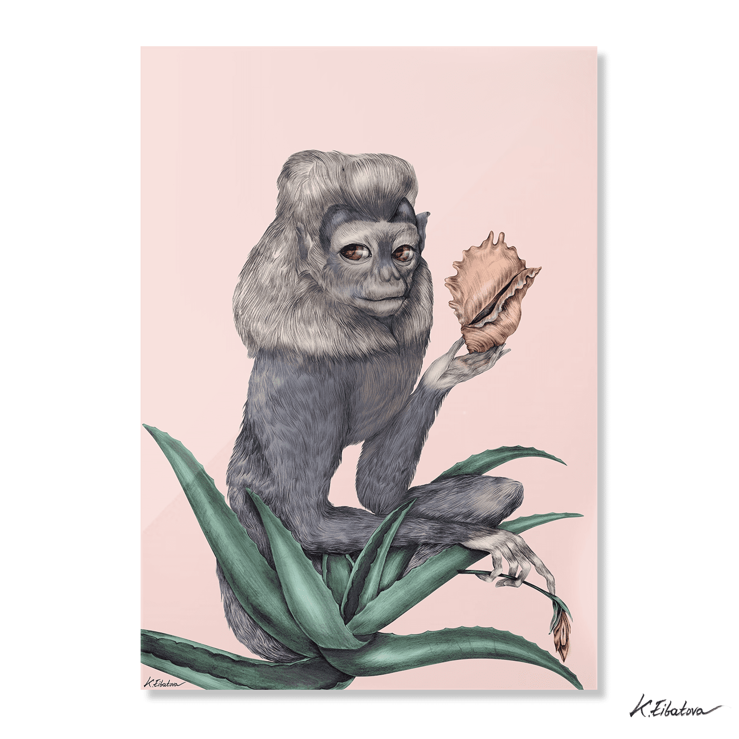 Monkey with the Shell