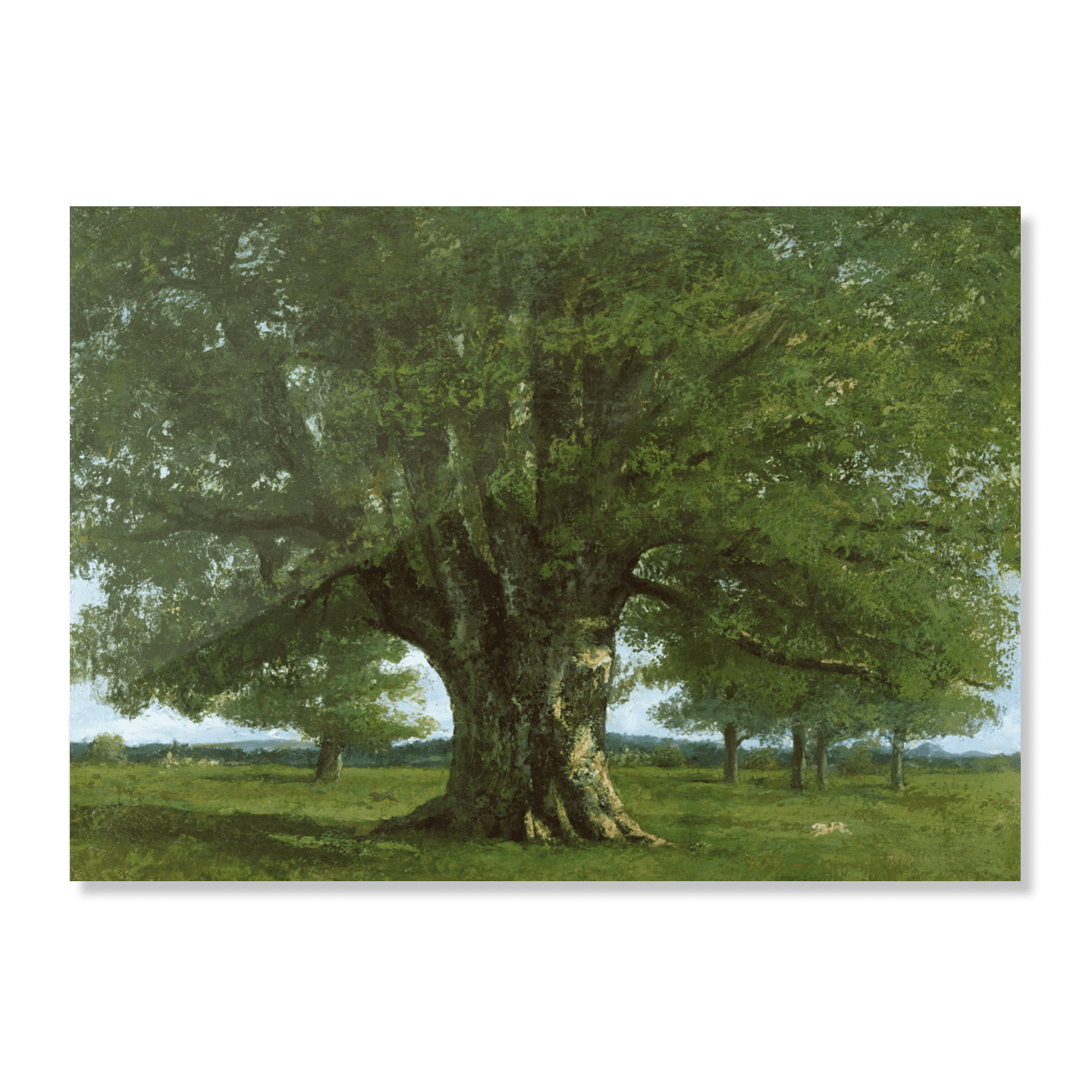 오르낭의 큰 떡갈나무