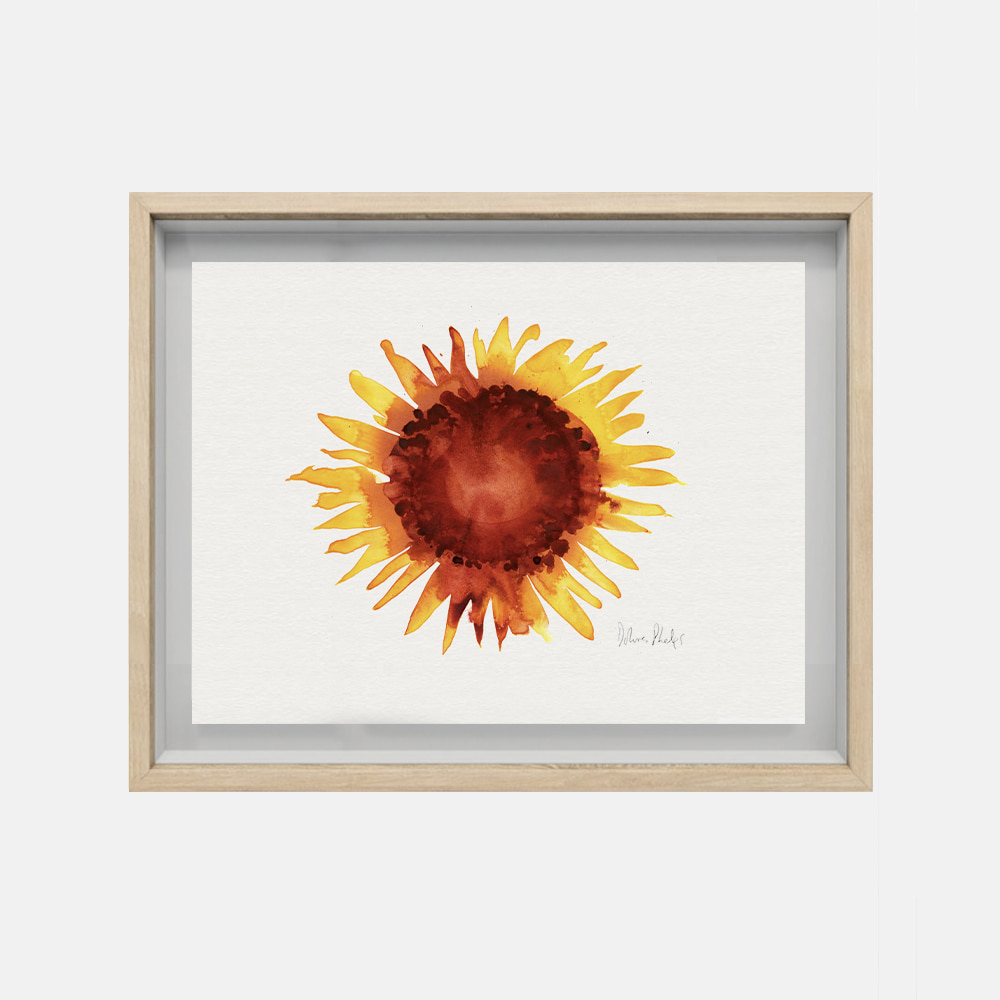 Sunflower, 2022